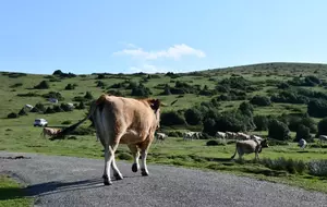 N1 Randonnée environs de Foix